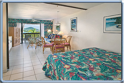 Spacious Beachfront Suite